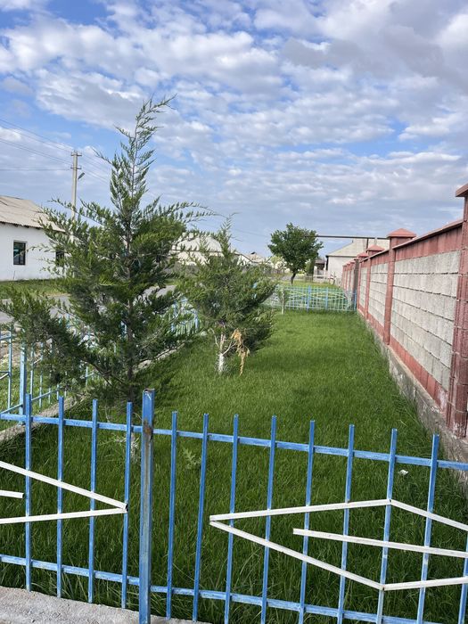 Газон орамыз Түркістан