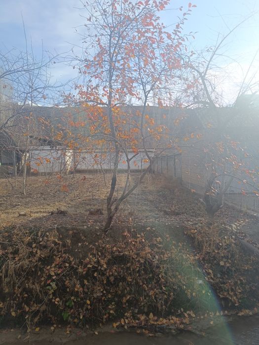 kelip.koriy lar yaxshi joy