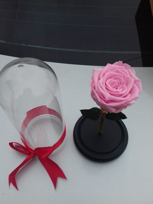 Cadou criogenat conservat in cupola cristalina