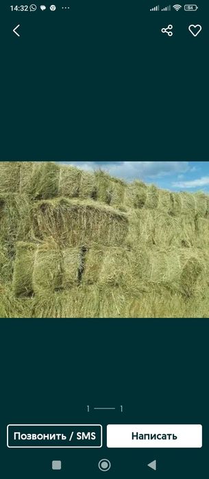 Сено в тюках с Костаная доставка до 1000 штук