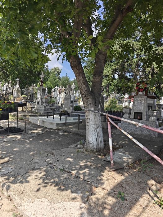 Pf loc de veci Sf treime Păcurari loc bine poziționat.