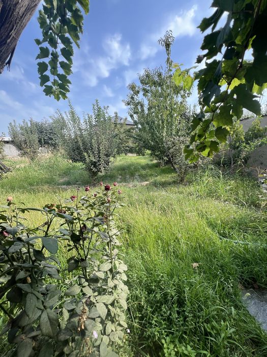 10 sutix yer sotiladi