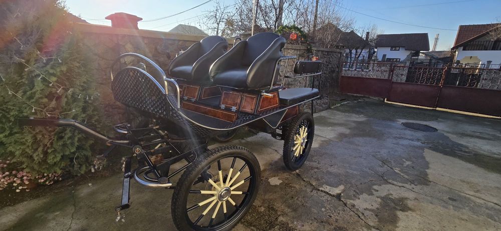 Trasura maraton de vanzare