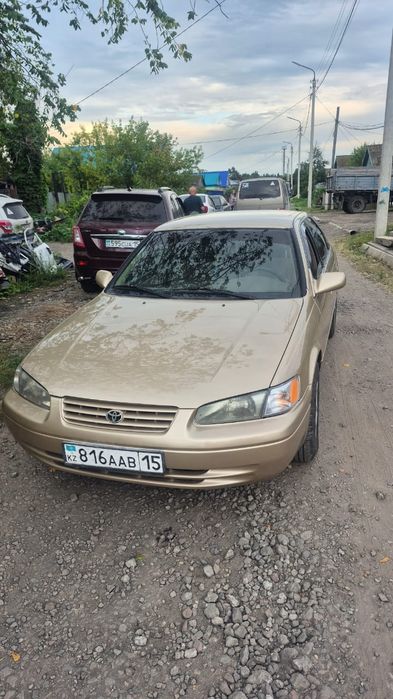 Продам живого Легенду.