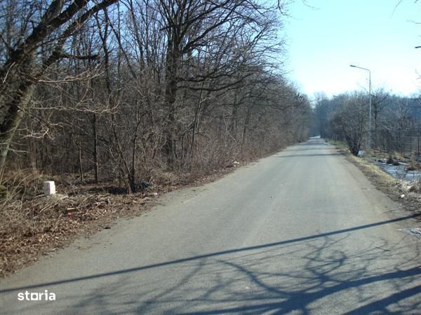 Teren Dragomiresti Vale direct proprietar 4 350 mp