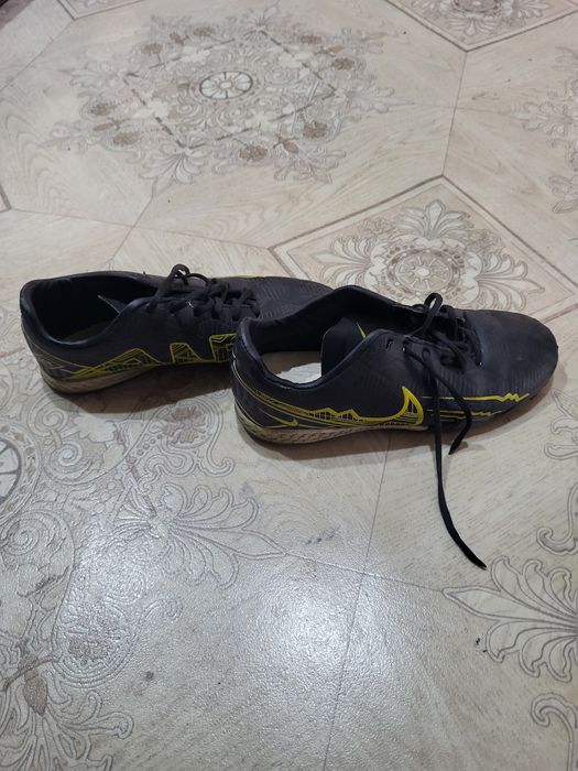 Сороконожки не дорого