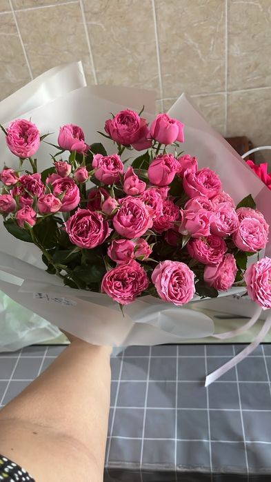 Продам цветы. Свежие, красивые