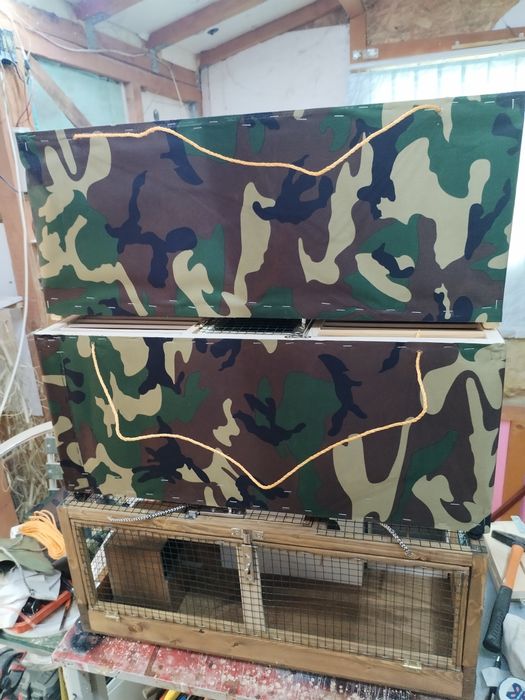 Accesorii porumbei și papagali