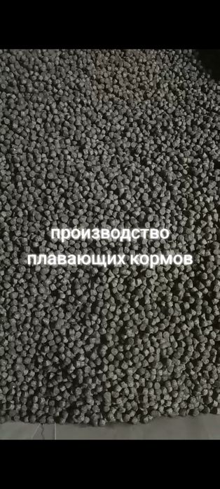 Экструдированный продукционный корм для форели