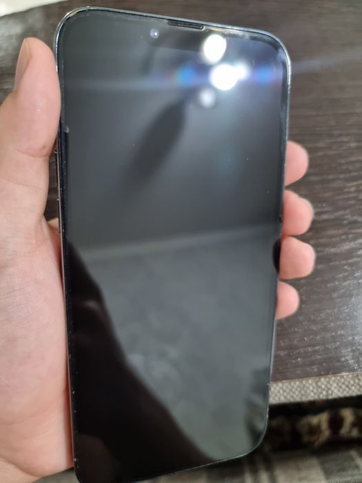 Iphone 13 Pro Max 256gb