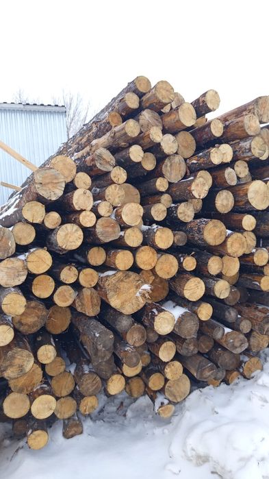 Кругляк, необрезные доски, пиломатериалы