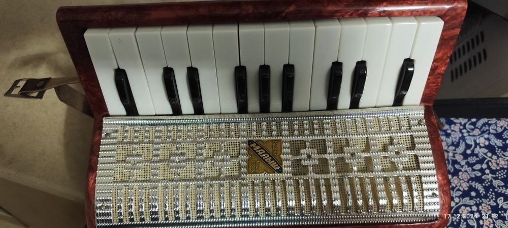 Acordeon copii RAZNO