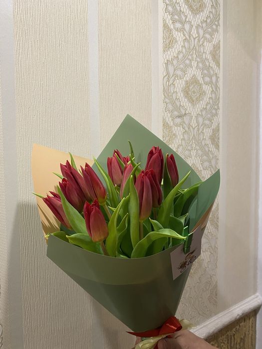 Тюльпаны местные