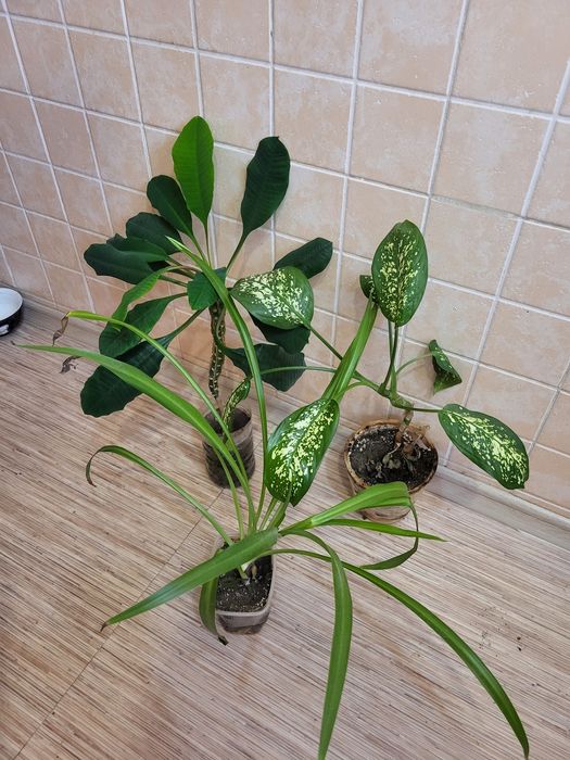 Продам по 500 тенге срочно