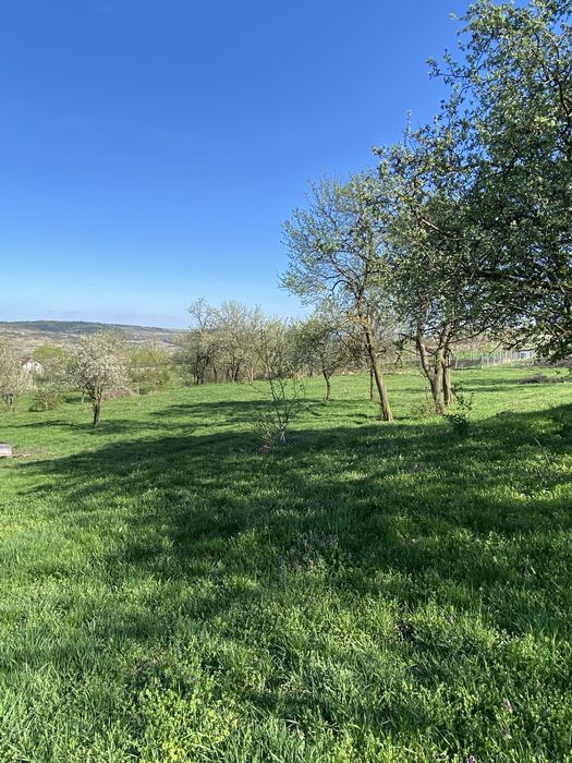 Vand teren pe str Valea Chintaului  , Cluj Napoca   2000 mp
