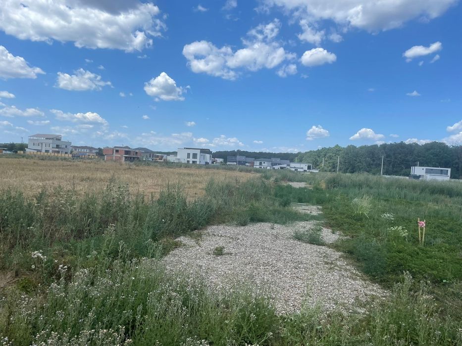 Teren Balotesti/Dumbraveni