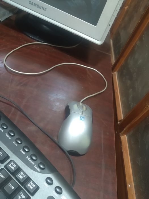 -Sichqoncha _ Мышка-