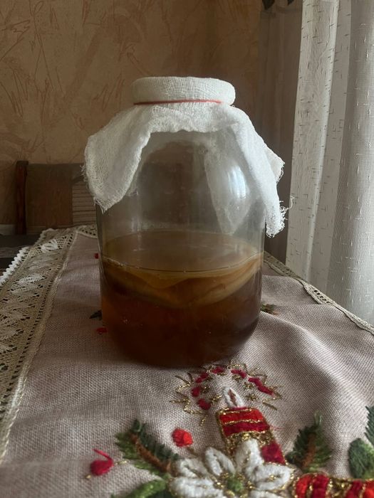 Чайный гриб полезный