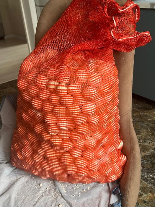Құрт. Штук 70 тг.