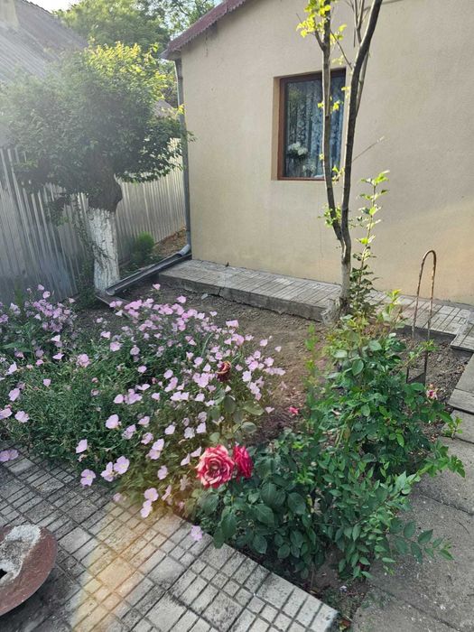 Casa dispunere centrala in OANCEA !