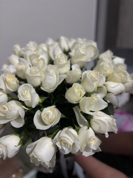 Белые розы. Ак розалар