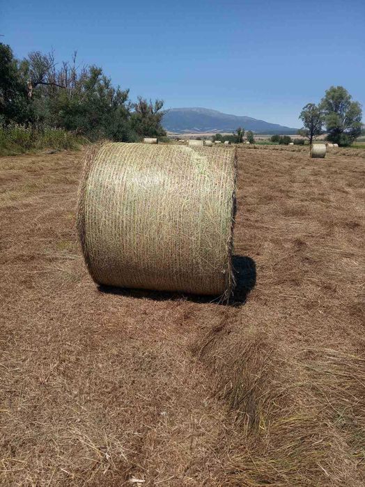 Продавам ролонни бали сено