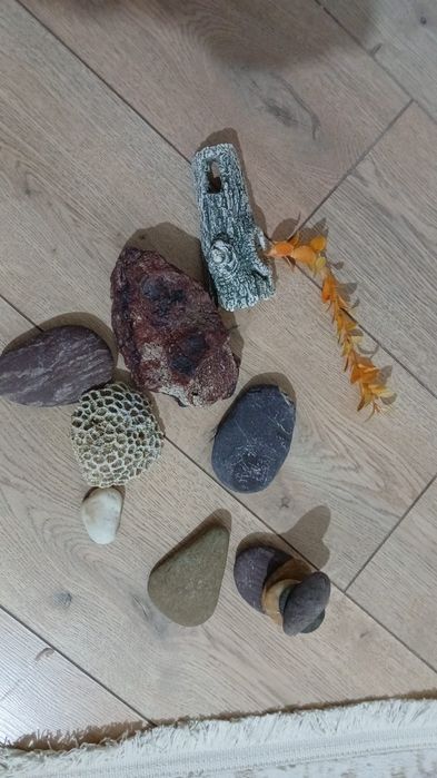 Продам декораций для аквариума