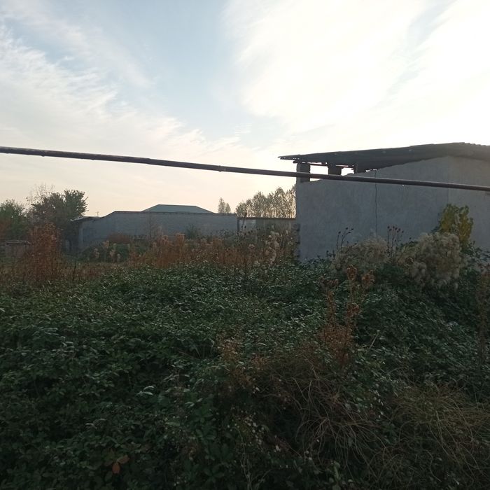 Уй чотилади 15 сотих