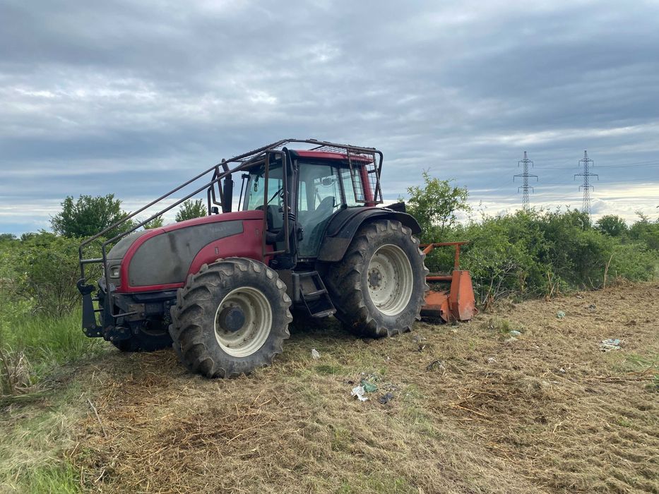 Curatare si defrisare teren de vegetatie nedorita