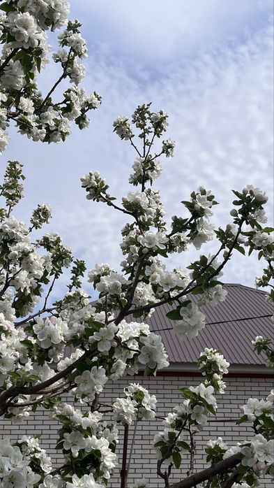 Продам дом в пос. Круглоозерное