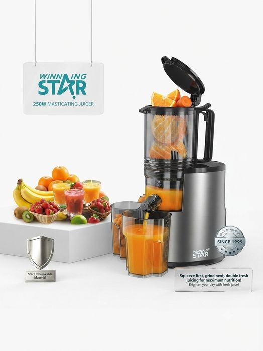 Соковыжималка Winning Star  (250W) Sharbat chiqargich
