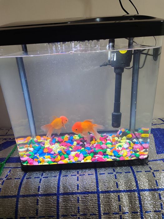 Akvarium toza Xitoy 30 LITRli