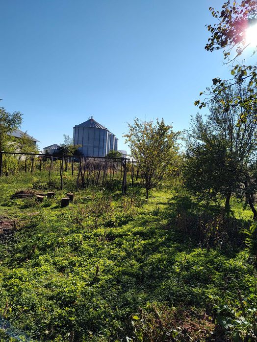 Casă + teren în Valea Râmnicului, Buzău – proprietate cu potențial