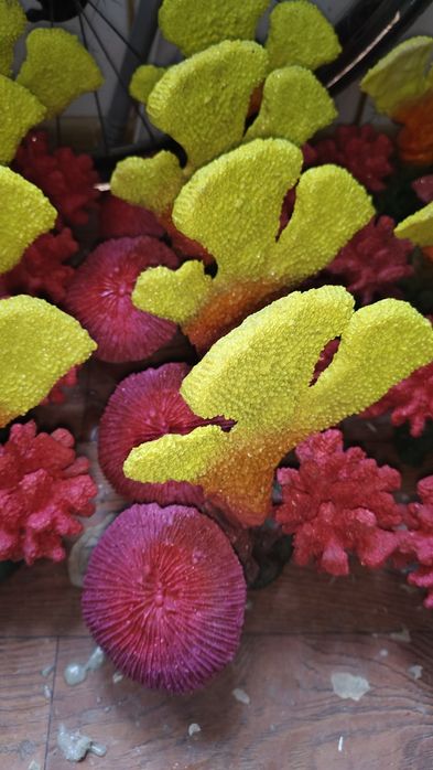 Akvarium va dekaratsyalar sotiladi