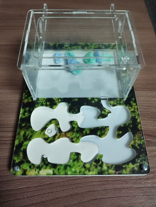 Готовая муравьиная ферма