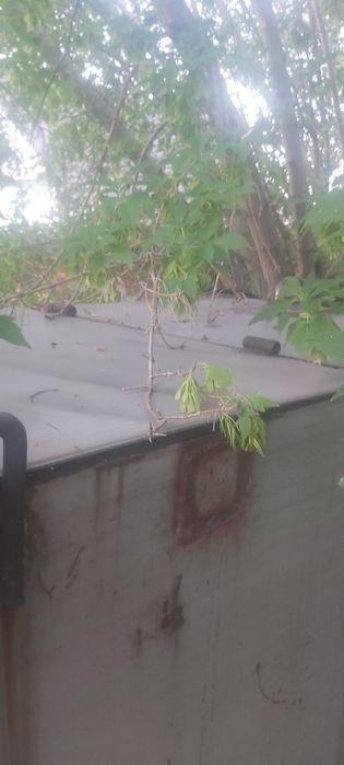 Бак из нержавеющей стали