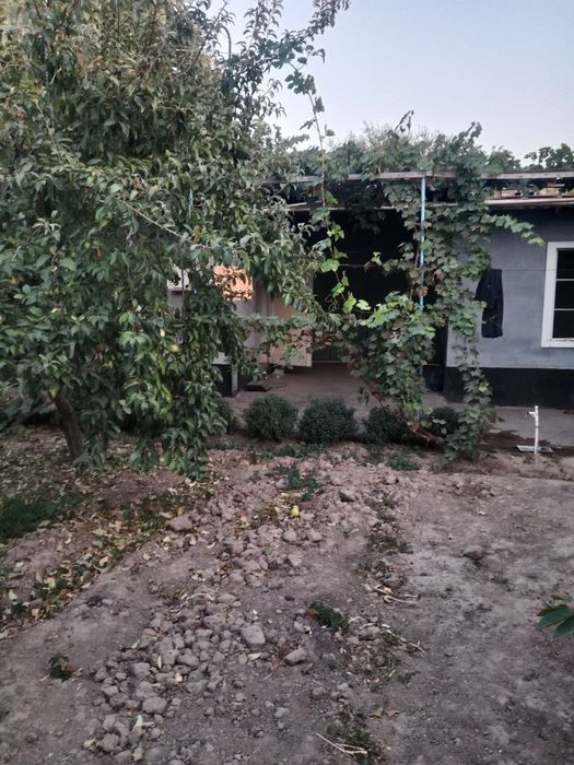 продаётся дом в чирчике