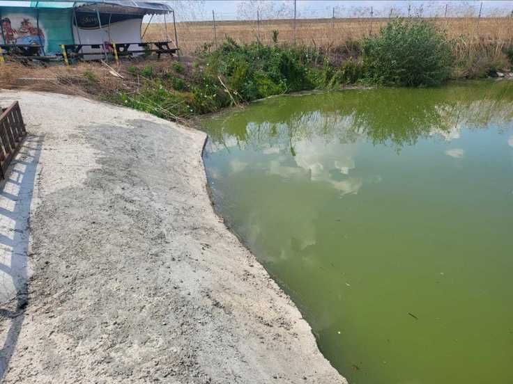 Продава се Парцел в с. Чернево, Област Варна - 14098 кв.м за 11 €/кв.м - Снимка #3