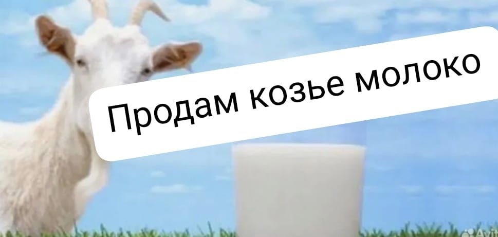 Продам домашние козье молоко
