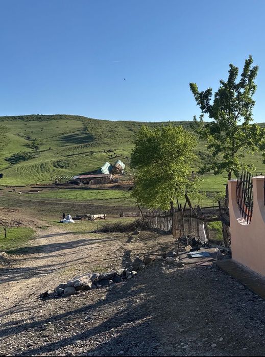 Casă de vânzare în sat Boian