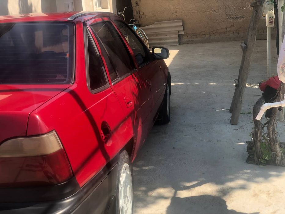 Холати зор идял ген чикади