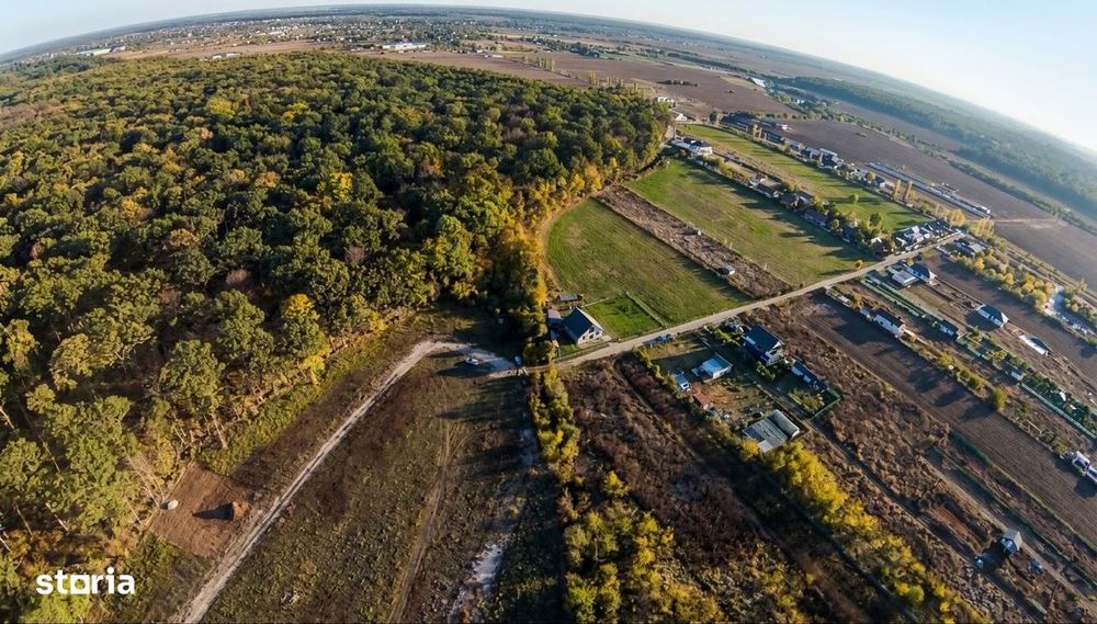 Teren rezidential Padurea Snagov ,pret promotional 19.410 + TVA