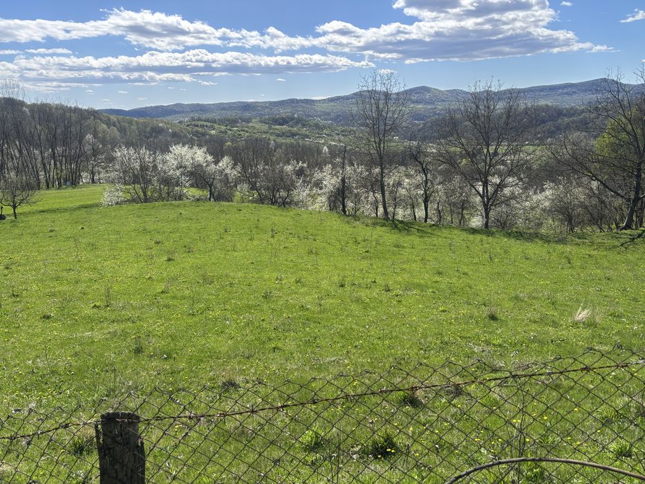 Teren de casa, livada si padure