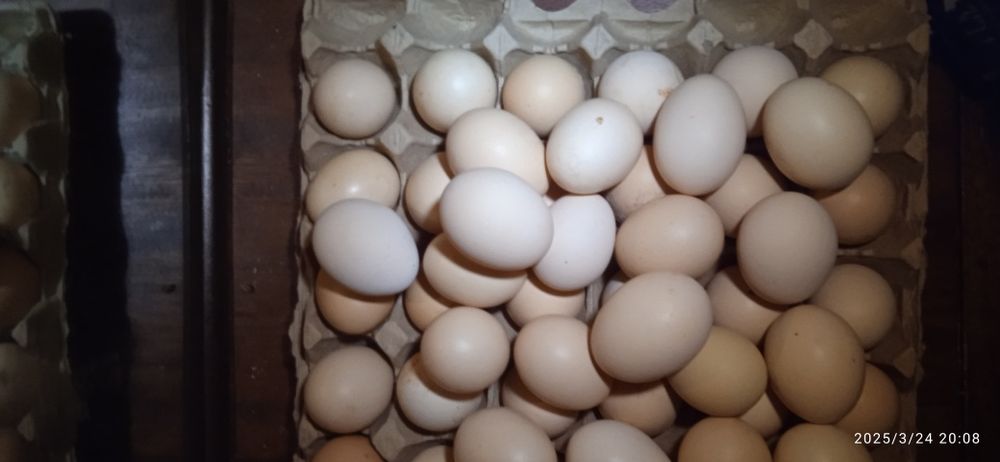 Жетісай қаласы Байзақов 4 үй