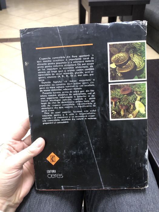 Determinator pentru recunoasterea ciupercilor