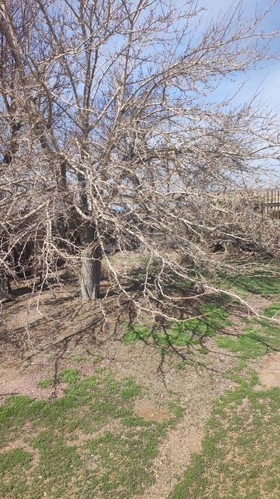 Продается дача на соленке, 2 водоколонка