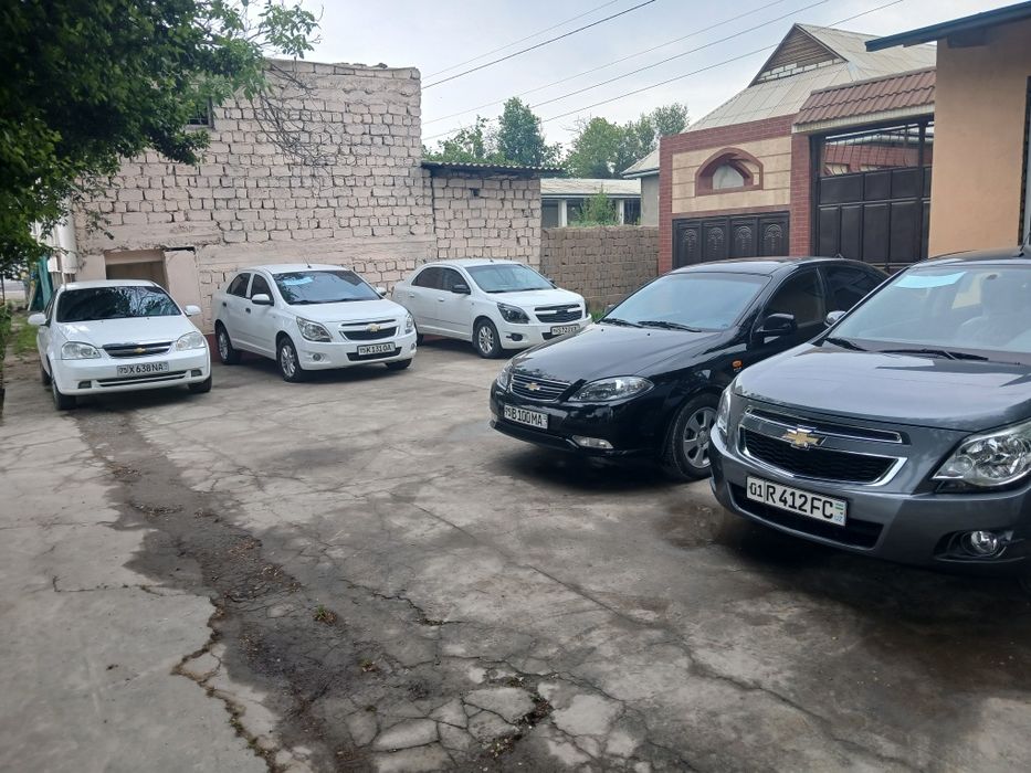 Other Cobalt 2023 — 2