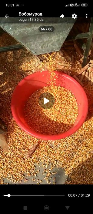 Макка ситадиган.