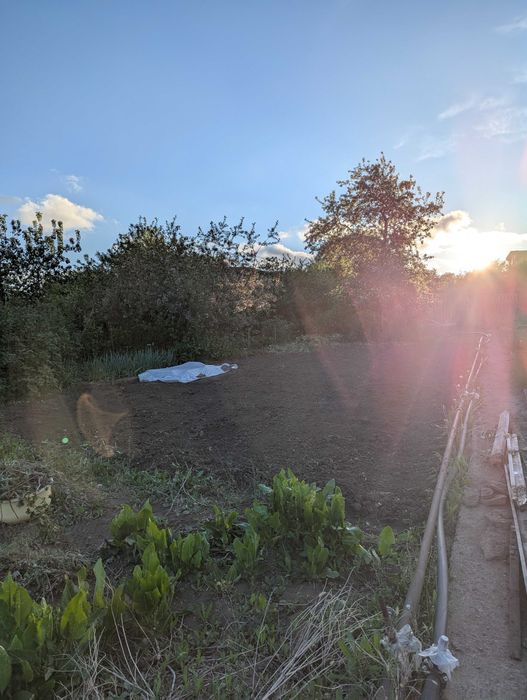 Дача, общество Природа