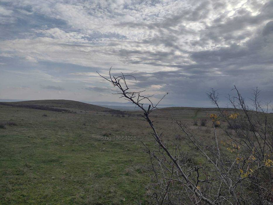 Продава се Парцел в Каблешково - 3600 кв.м за 4 €/кв.м - Снимка #6